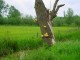 Thumbs/tn_DSC01045.jpg