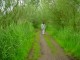 Thumbs/tn_DSC01047.jpg