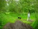Thumbs/tn_DSC01048.jpg