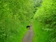 Thumbs/tn_DSC01052.jpg