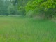 Thumbs/tn_DSC01056.jpg