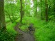 Thumbs/tn_DSC01057.jpg