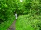 Thumbs/tn_DSC01060.jpg