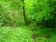 Thumbs/tn_DSC01062.jpg