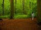 Thumbs/tn_DSC01065.jpg