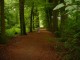 Thumbs/tn_DSC01066.jpg