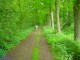 Thumbs/tn_DSC01070.jpg