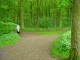 Thumbs/tn_DSC01071.jpg