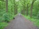 Thumbs/tn_DSC01072.jpg