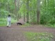 Thumbs/tn_DSC01073.jpg