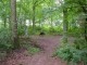 Thumbs/tn_DSC01078.jpg