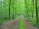 Thumbs/tn_DSC01079.jpg