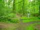 Thumbs/tn_DSC01081.jpg