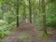Thumbs/tn_DSC01083.jpg