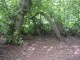 Thumbs/tn_DSC01084.jpg
