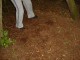 Thumbs/tn_DSC01088.jpg
