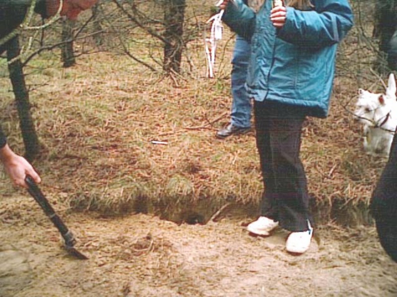 ../Images/PIC00007.jpg