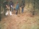 Thumbs/tn_PIC00005.jpg