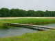 Thumbs/tn_DSC07586.jpg