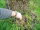Thumbs/tn_DSC00259.jpg