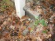 Thumbs/tn_Fons1.jpg