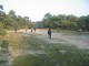 Thumbs/tn_Fons8.jpg