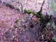 Thumbs/tn_IMG_1900.jpg