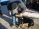 Thumbs/tn_DSC08414.jpg