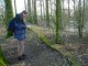 Thumbs/tn_DSC05311.jpg