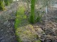 Thumbs/tn_DSC05312.jpg