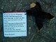 Thumbs/tn_DSC05320.jpg
