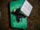 Thumbs/tn_DSC05321.jpg