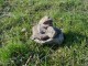 Thumbs/tn_DSC05284.jpg