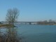 Thumbs/tn_DSC05286.jpg