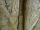 Thumbs/tn_DSC05289.jpg