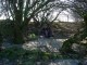 Thumbs/tn_DSC05294.jpg