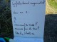Thumbs/tn_DSC05297.jpg