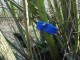 Thumbs/tn_DSC05300.jpg
