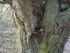 Thumbs/tn_DSC05301.jpg