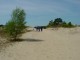 Thumbs/tn_DSC06926.jpg