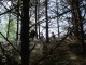 Thumbs/tn_DSC06935.jpg