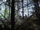 Thumbs/tn_DSC06936.jpg