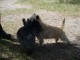 Thumbs/tn_DSC06940.jpg