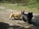 Thumbs/tn_DSC06944.jpg