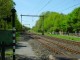 Thumbs/tn_DSC06949.jpg