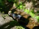 Thumbs/tn_DSC06962.jpg