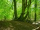Thumbs/tn_DSC06963.jpg