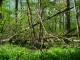 Thumbs/tn_DSC06989.jpg