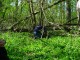 Thumbs/tn_DSC07001.jpg