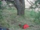 Thumbs/tn_DSC06471.jpg